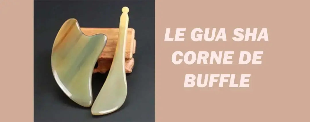 Tradition chinoise de la corne de buffle en gua sha