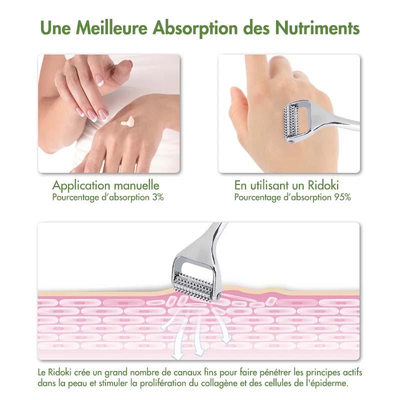 Ridoki et absorption des nutriments