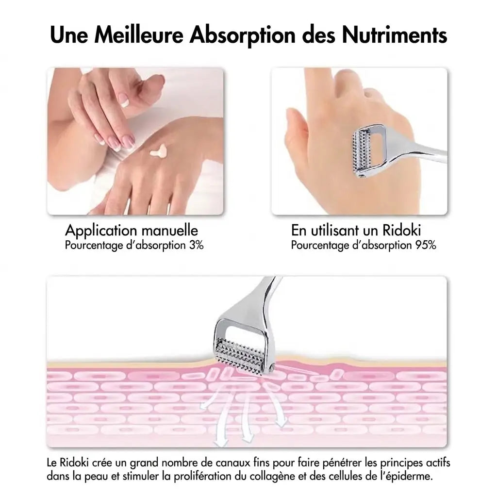 Ridoki et absorption des nutriments