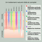 LumaGlow™ - Masque LED Visage & Cou 7 Couleurs